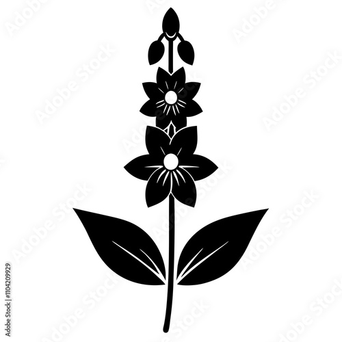 black and white flower