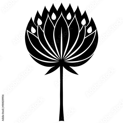 black and white flower
