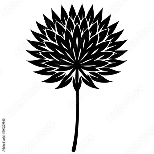 black and white flower