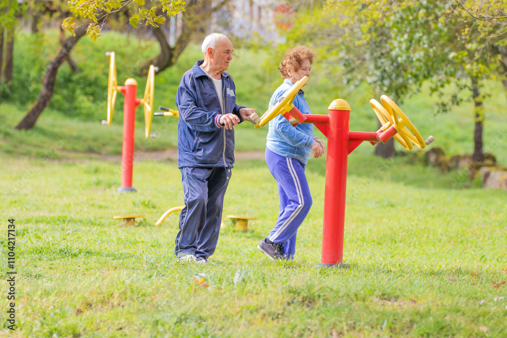 Fototapeta premium senior couple practicing exercise outdoors