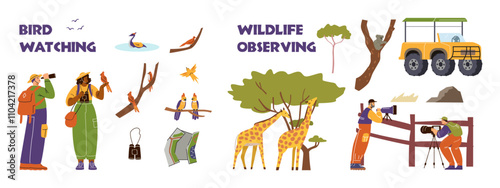 A vector set with male and female researchers who observe wildlife, giraffes, koala