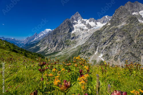 Val Ferret mountain landscape in the Alps. Tour du Mont Blanc beautiful scenic view from the hiking path on the way from Itlay to Switzerland. Alpine meadow and high snow peaks of the Alps on the sun