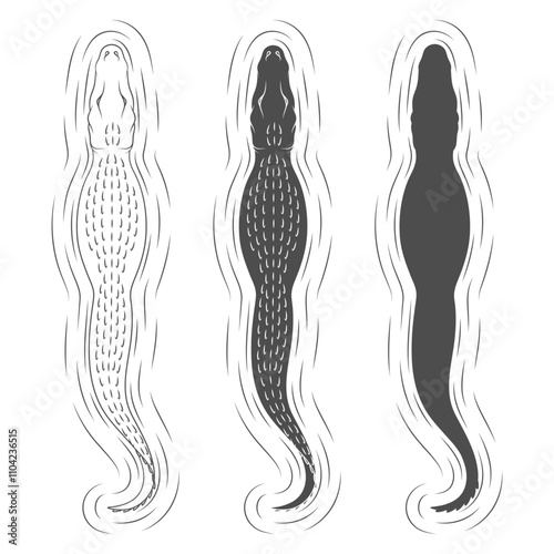 Set of black and white illustrations with swimming crocodile. Isolated vector objects on white background.