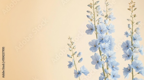 A soft blue delphinium against a warm beige background, close-up shot, Minimalist style