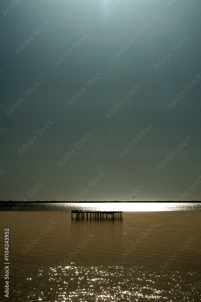 Fototapeta premium Paysage de Camargue en France autour de l'étang du Fangassier