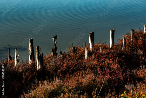 Paysage de Camargue en France autour de  l'étang du Fangassier