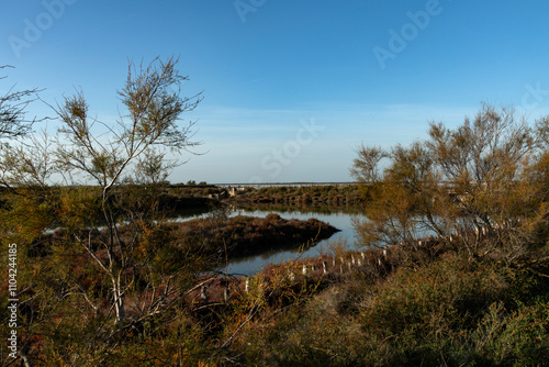 Paysage de Camargue en France autour de  l'étang du Fangassier