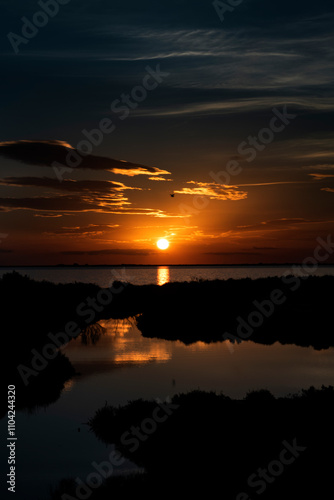 Paysage de Camargue en France autour de  l'étang du Fangassier