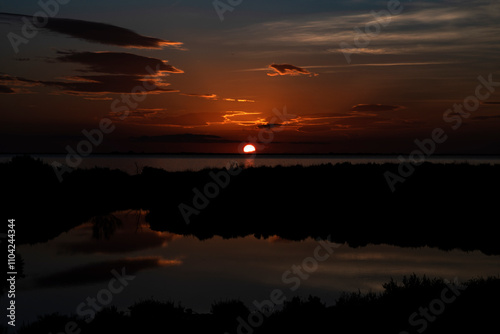 Paysage de Camargue en France autour de  l'étang du Fangassier