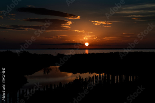 Paysage de Camargue en France autour de  l'étang du Fangassier