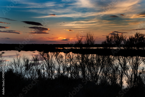 Paysage de Camargue en France autour de  l'étang du Fangassier