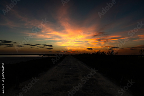 Paysage de Camargue en France autour de  l'étang du Fangassier