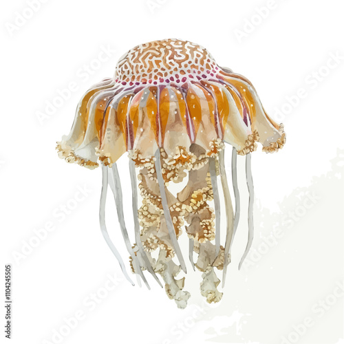 A watercolor drawing of Comb Jellyfish, isolated on a white background. Comb Jellyfish vector.