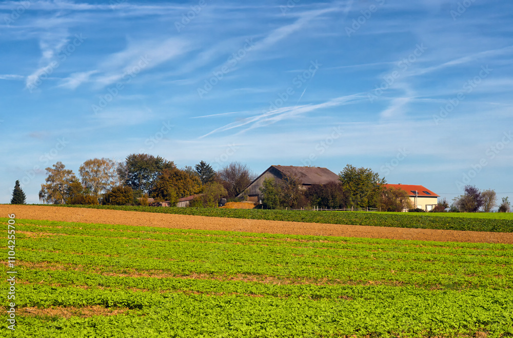 A big farm behind a bunch of trees A big farm behind a bunch of trees