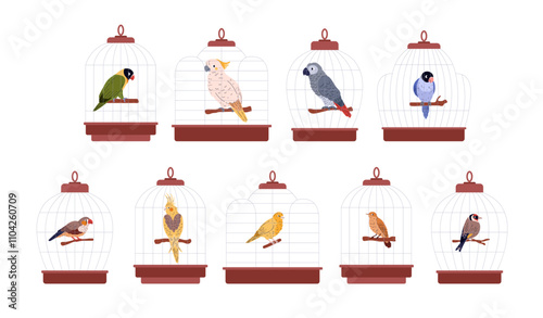 Set of domestic birds in cages.