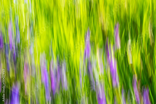 Kunst, Hintergrund, Abstrakt: Blumenwiese mit langer Belichtungszeit, verwischt, unscharf, frühlingshaft, mit leuchtenden Farben photo