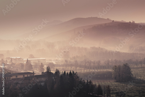 morning fog in the piedmont hills of langhe with its vineyards. near alba, in granzane cavour