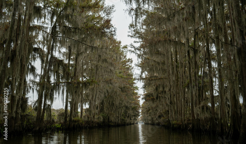 government ditch Caddo lake