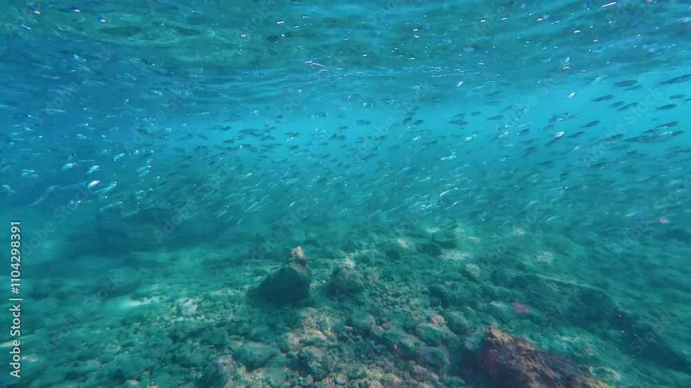Underwater Snorkelling Cyprus reef fish crystal blue waters Mediterranean action camera Underwater Snorkelling Cyprus reef fish crystal blue waters Mediterranean action camera