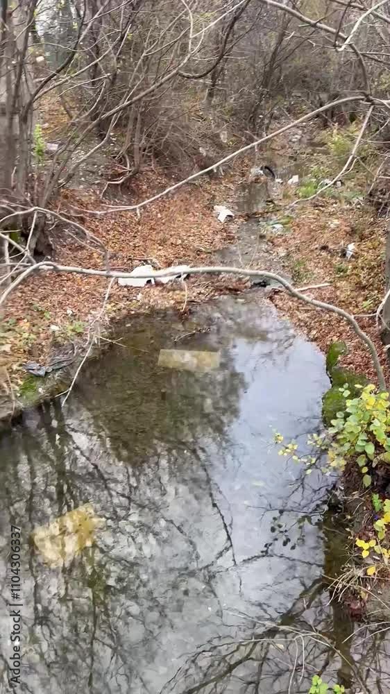 the river in the village is full of garbage the river in the village is full of garbage