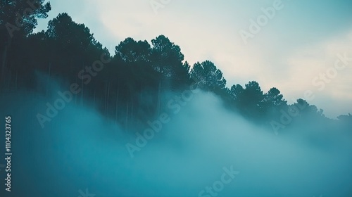 Misty Forest Landscape with Tall Trees and Soft Blue Tones