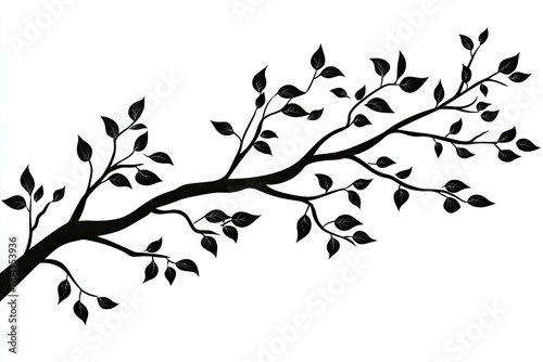 branch of tree silhouette on white background