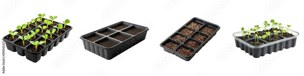 Seedling Tray – Flat Container with Divided Sections for Starting Young Plants from Seeds Isolated on Clear White Background Highly Detailed Seedling Tray – Flat Container with Divided Sections for Starting Young Plants from Seeds Isolated on Clear White Background Highly Detailed