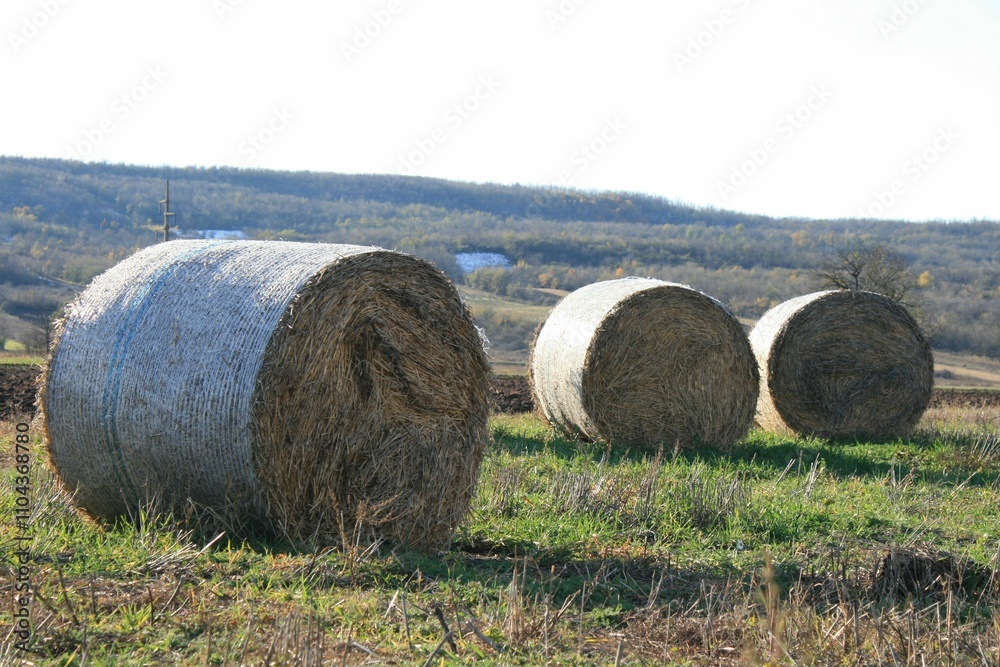 Golden Hay Bales Against the Rural Landscape Golden Hay Bales Against the Rural Landscape