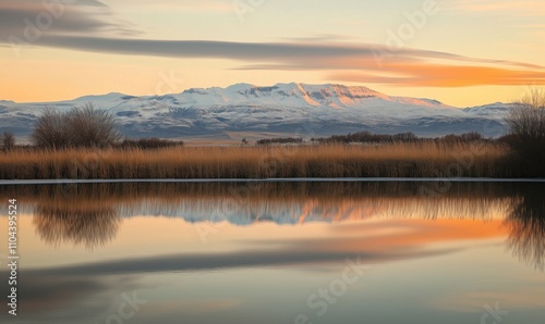 Mountain reflection in calm lake at sunset, snow-capped peaks, golden reeds, serene landscape, tranquil water, soft clouds