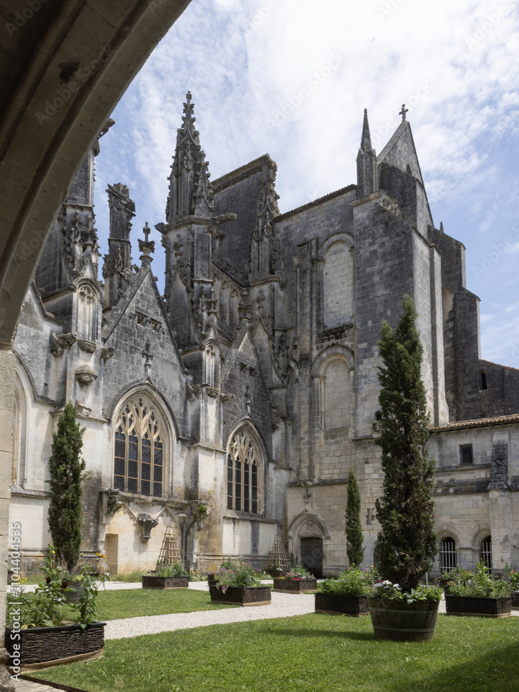 Fototapeta premium Cathédrale Saint-Pierre à Saintes 