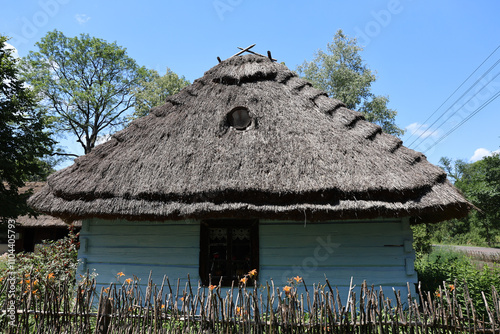 thatched roof house