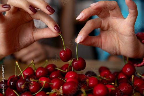 Hands are Picking Fresh Cherries in a Beautifully Vibrant Outdoor Setting Full of Color photo