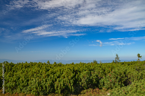 Fototapeta Naklejka Na Ścianę i Meble -  picturesque and wonderful views on the way to Pilsko in the Beskid Mountains