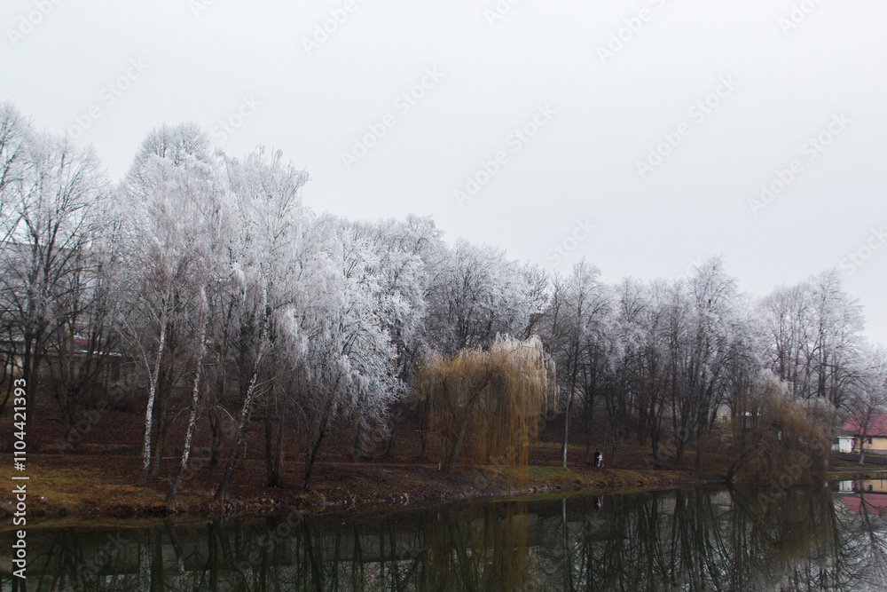 Winter landscape in Moldova on a cloudy day.