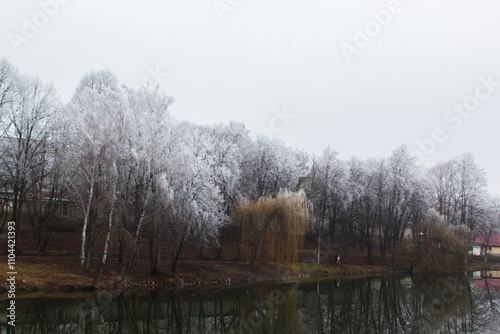 Obraz na płótnie Winter landscape in Moldova on a cloudy day. w salonie