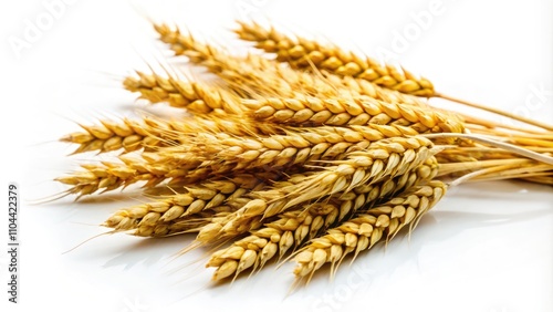 Golden Wheat Stalks Isolated on a White Background Showcasing Nature's Bounty. Generative AI