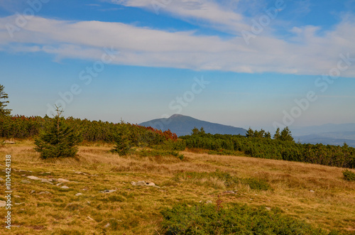 Fototapeta Naklejka Na Ścianę i Meble -  picturesque and wonderful views on the way to Pilsko in the Beskid Mountains
