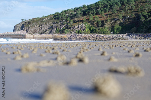 Quadro su tela plage recouvert de petit tas de sable formé par des vers à marée basse