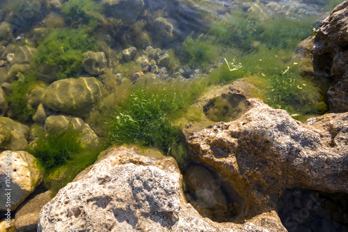 Low view of a beach with rocks. calm sea, moss and algae on the stones.