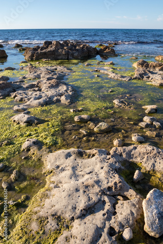 Low view of a beach with rocks. calm sea, moss and algae on the stones.