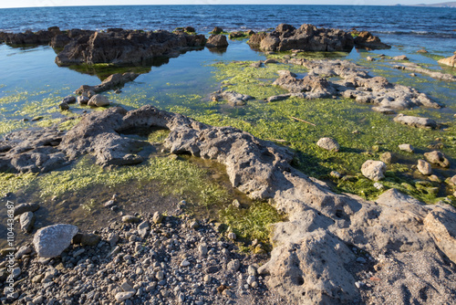 Low view of a beach with rocks. calm sea, moss and algae on the stones.