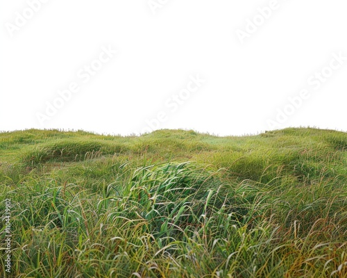 A serene landscape of rolling green grass hills under a bright sky.