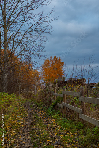 A narrow path winds through the scene, bordered by wooden fencing on the right and a mix of grass and sparse vegetation on the left. Autumn landscape at Paljassaare Peninsula, Tallinn, Estonia. photo