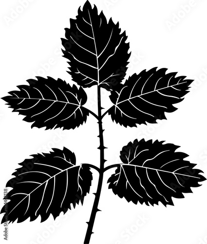 Stylized Illustration of Mint Leaves
