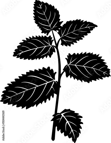Stylized Illustration of Mint Leaves
