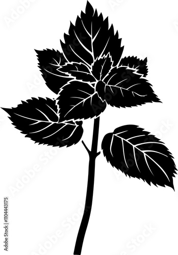 Stylized Illustration of Mint Leaves
