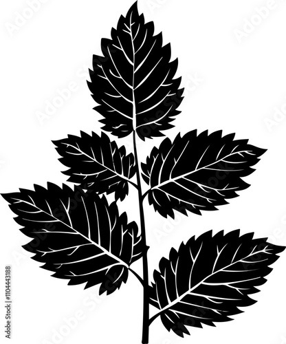 Stylized Illustration of Mint Leaves