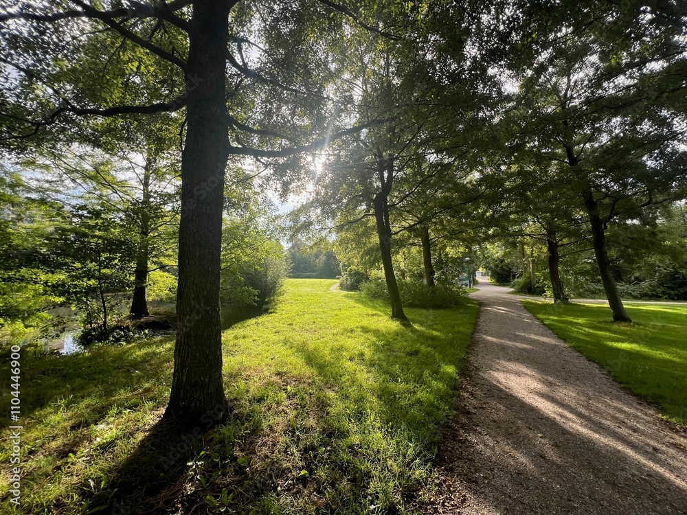 Naklejka premium View of pathway through park with green trees alongside