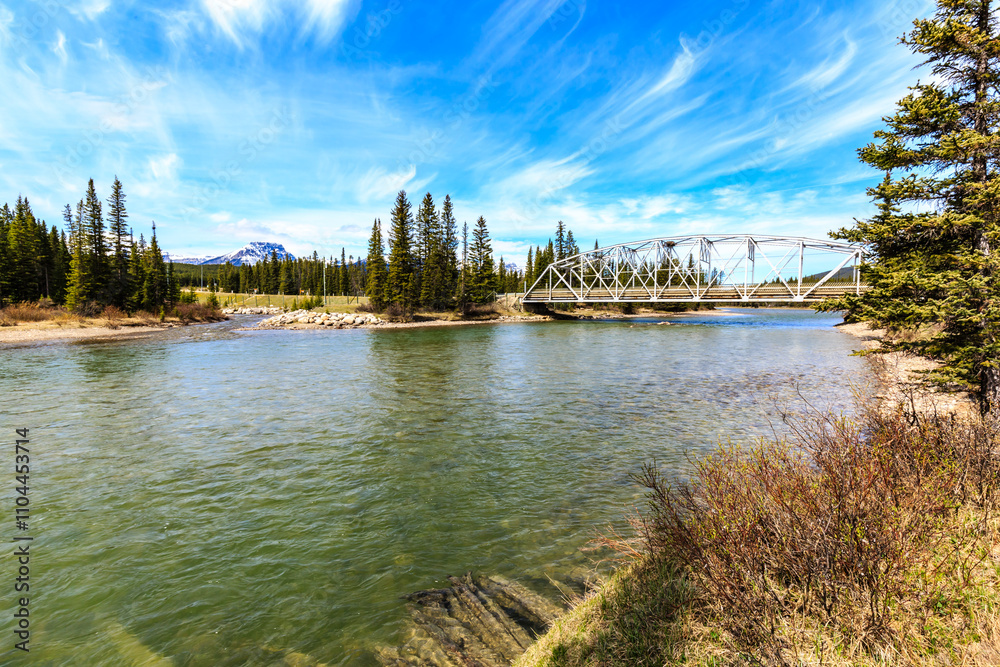 Fototapeta premium A bridge spans a river with a green waterway