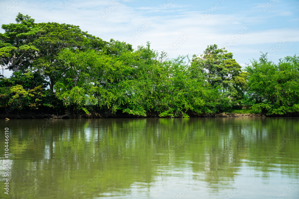 river in the forest tropical river in the forest tropical